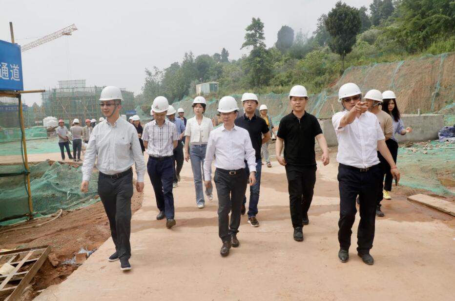 尊龙集团官网集团“做大影响力”专责工作组调研聚峰谷项目