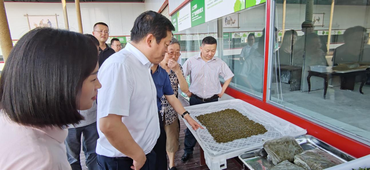 省尊龙集团官网集团党委副书记、董事陈日赴嘉陵区调研茶桑产业发展情况