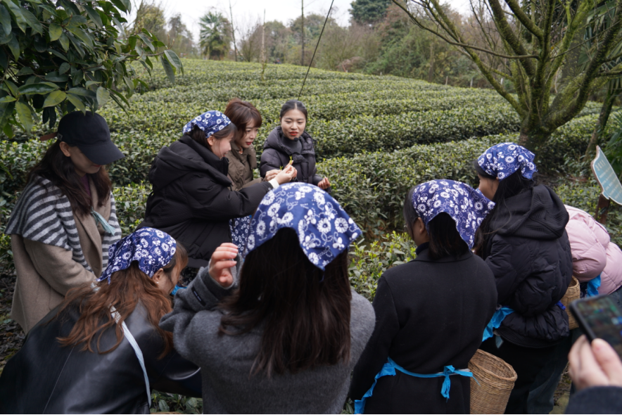 省尊龙集团官网集团下属企业组织发展“三八”国际劳动妇女节主题活动