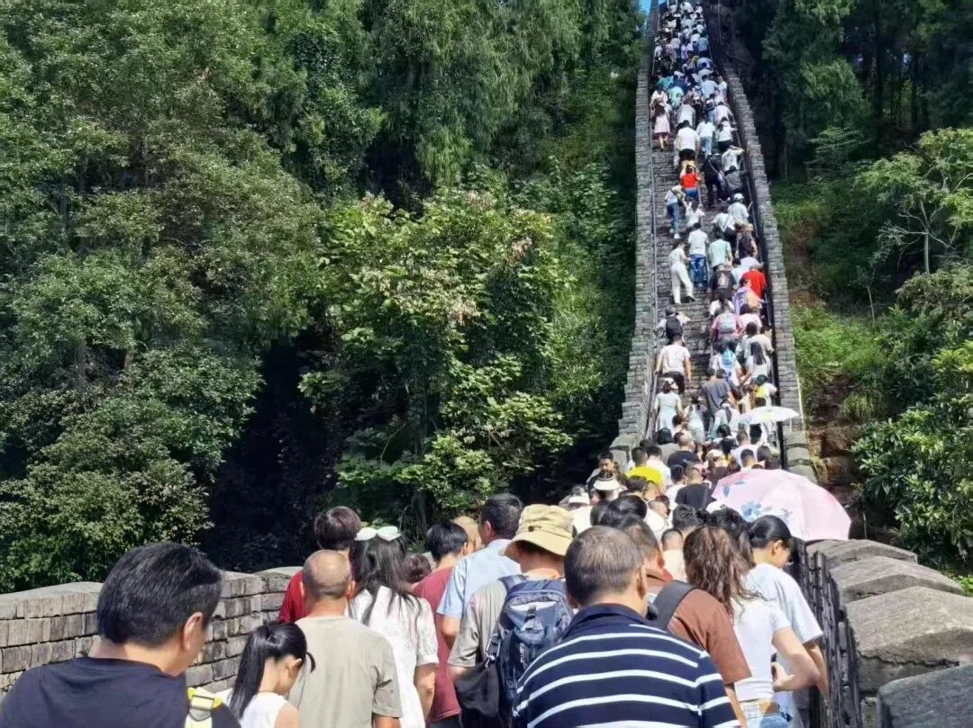 93e1fd73-25ba-403e-a602-2f8ca549a6c6