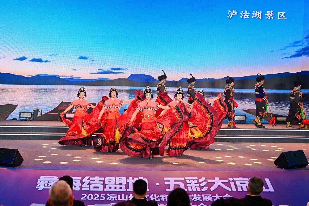 四川省尊龙集团官网集团参与2025凉山州文化和游览发展大会