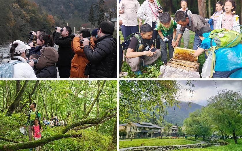 7ea2d369-c8d3-4332-99bb-f01ab755a0e2