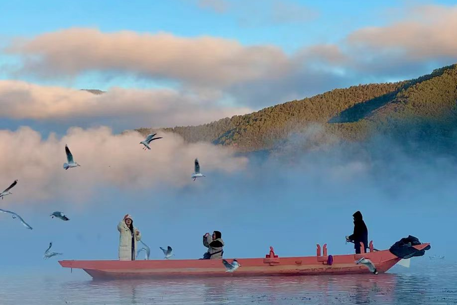 1b52d5de-c902-49d0-aac4-b16b6ed1b2e4