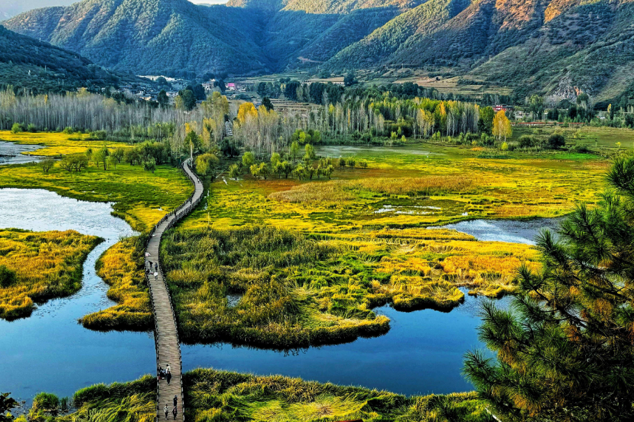 fbd0f4df-6d8b-4f66-bc75-fc30296513a3